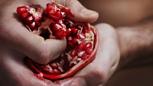 Extrato da casca da romã apresentou ação antimicrobiana contra patógeno de difícil tratamento