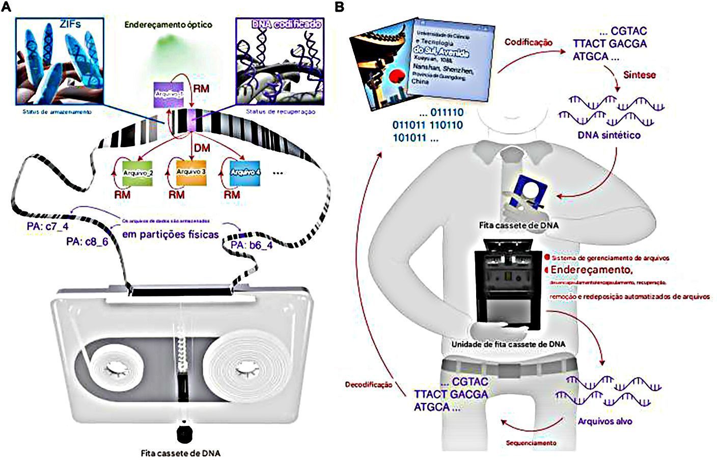 esquema-de-gravador-e-fita-cassete-de-dna