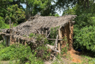 Buscas por irmãos no MA: cães farejadores indicam rastro em casa abandonada
