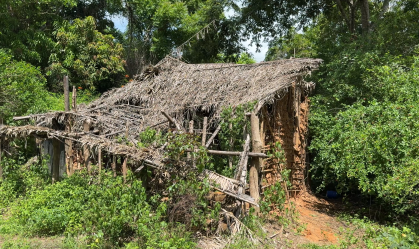 Imagem de destaque do post: Buscas por irmãos no MA: cães farejadores indicam rastro em casa abandonada