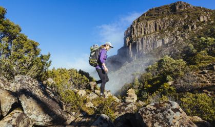 IA cria destino turístico falso e causa confusão na Tasmânia