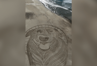 Cão Orelha: artista faz homenagem em praia após morte de cachorro