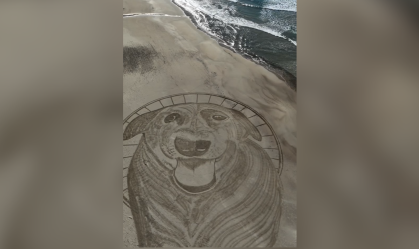 Homenagem ao cão Orelha feita pelo artista visual Reci Clayton