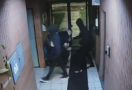 Vídeo: criminosos passam a virada roubando materiais da USP