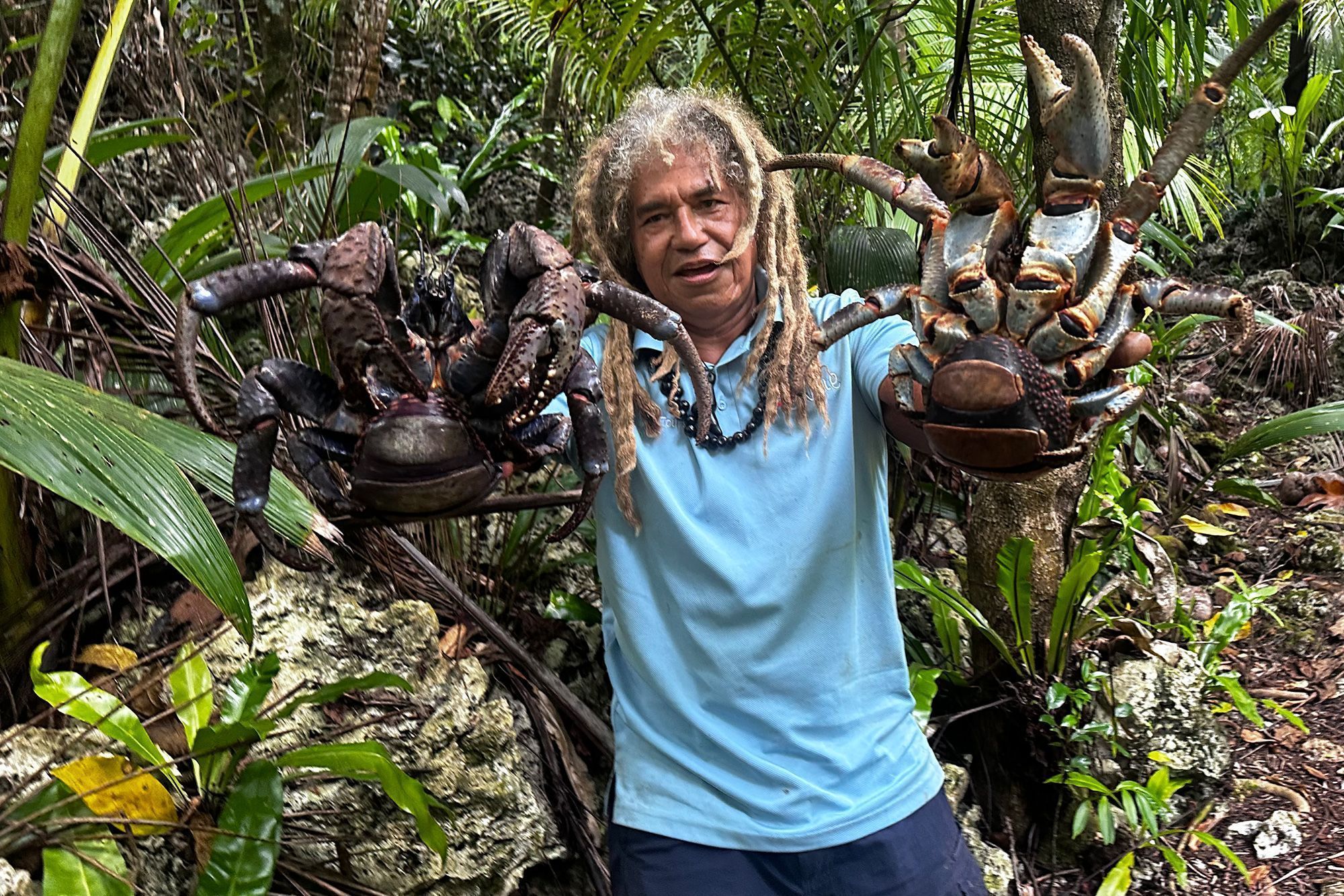 Tony Aholima, da A5 Tours, segura caranguejos-dos-coqueiros • Terry Ward