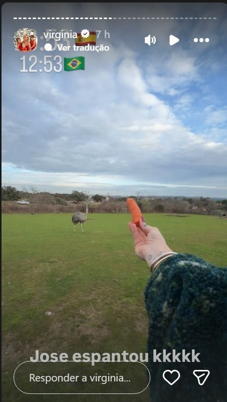 Virginia oferece comida aos animais durante safari • Instagram/Virginia