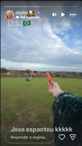 Virginia oferece comida aos animais durante safari • Instagram/Virginia
