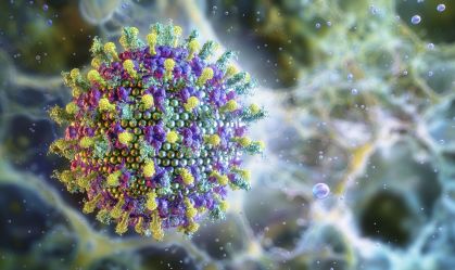 Vírus Nipah tem alta taxa de letalidade