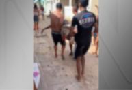 Menino de 13 anos morre após ser atacado por tubarão em praia de Olinda