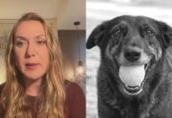 "Casos como do cão Orelha acontecem diariamente no Brasil", diz juíza