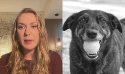 Imagem de destaque do post: "Casos como do cão Orelha acontecem diariamente no Brasil", diz juíza