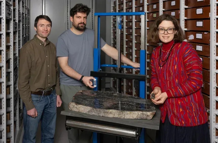 Da direita para a esquerda, os pesquisadores Sandy Hetherington, Corentin Loron e Laura Cooper, que lideraram o novo estudo, no Centro de Coleções dos Museus Nacionais da Escócia, com alguns fósseis de Prototaxites. • Neil Hanna