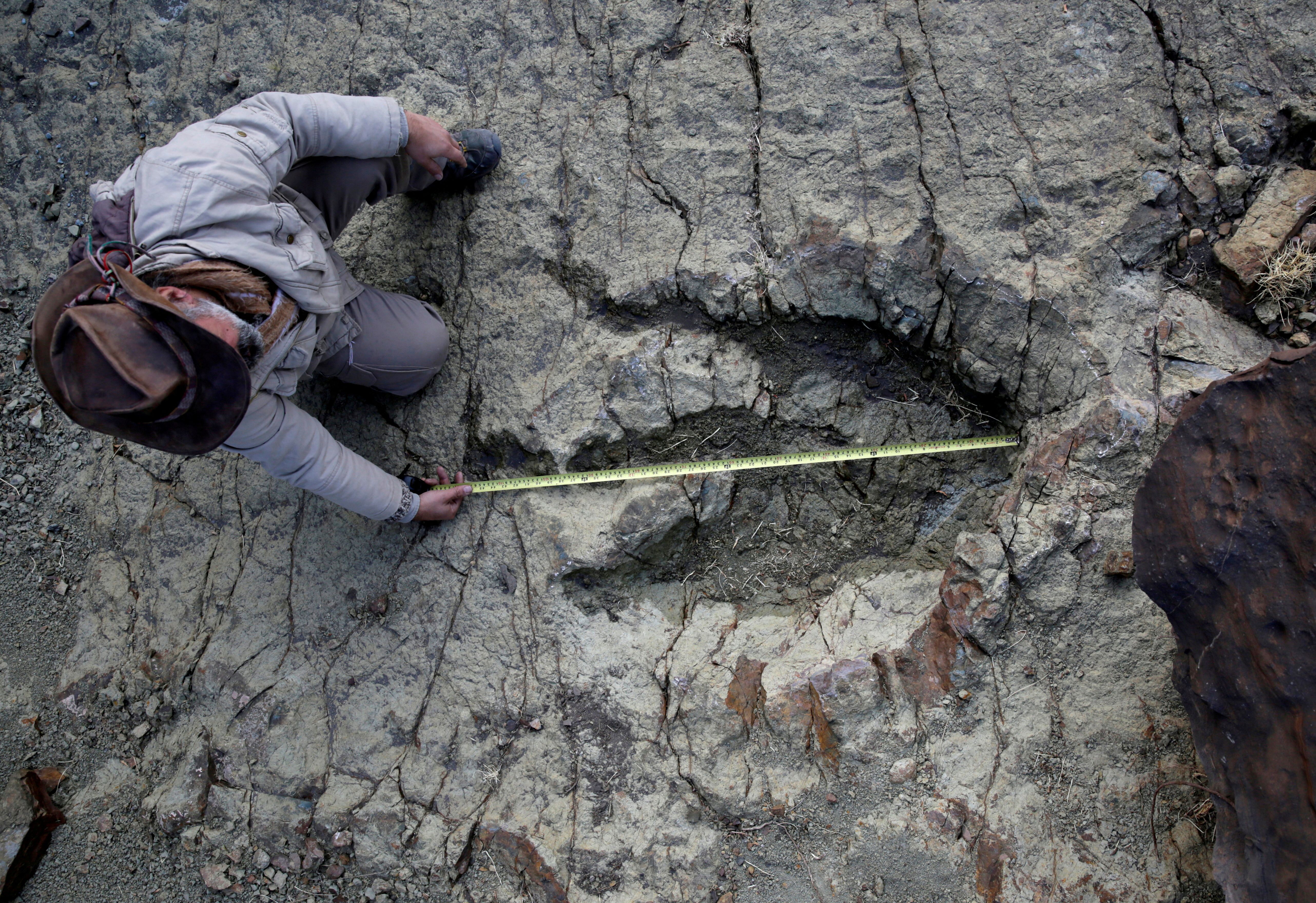 Paleontólogo Sebastián Apesteguia mede pegada de dinossauro na Bolívia