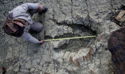 Como a IA quer desvendar as pegadas dos dinossauros