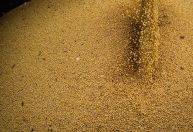 México e Filipinas abrem mercado para carne e soja brasileira