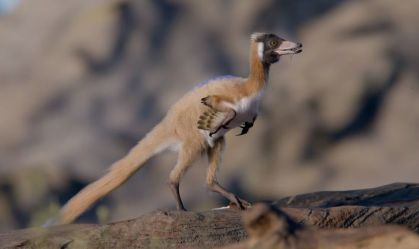 Dinossauro "esquisito e nanico" é descoberto na Patagônia