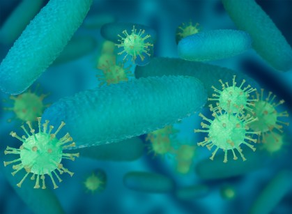 Acinetobacter baumannii multirresistente
