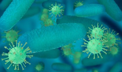 Acinetobacter baumannii multirresistente