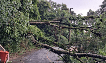 CHUVAS JUIZ FORA (3)