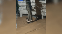Vídeo mostra mulher se segurando em poste em meio à enxurrada em MG; veja