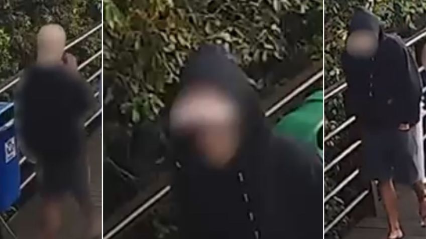 Principal suspeito de matar o cão orelha • PCSC