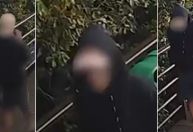 Cão Orelha: polícia diz que adolescente mentiu em depoimento; entenda