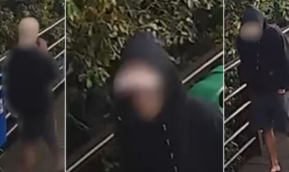 “Há uma exceção”: polícia explica pedido de internação no caso Orelha