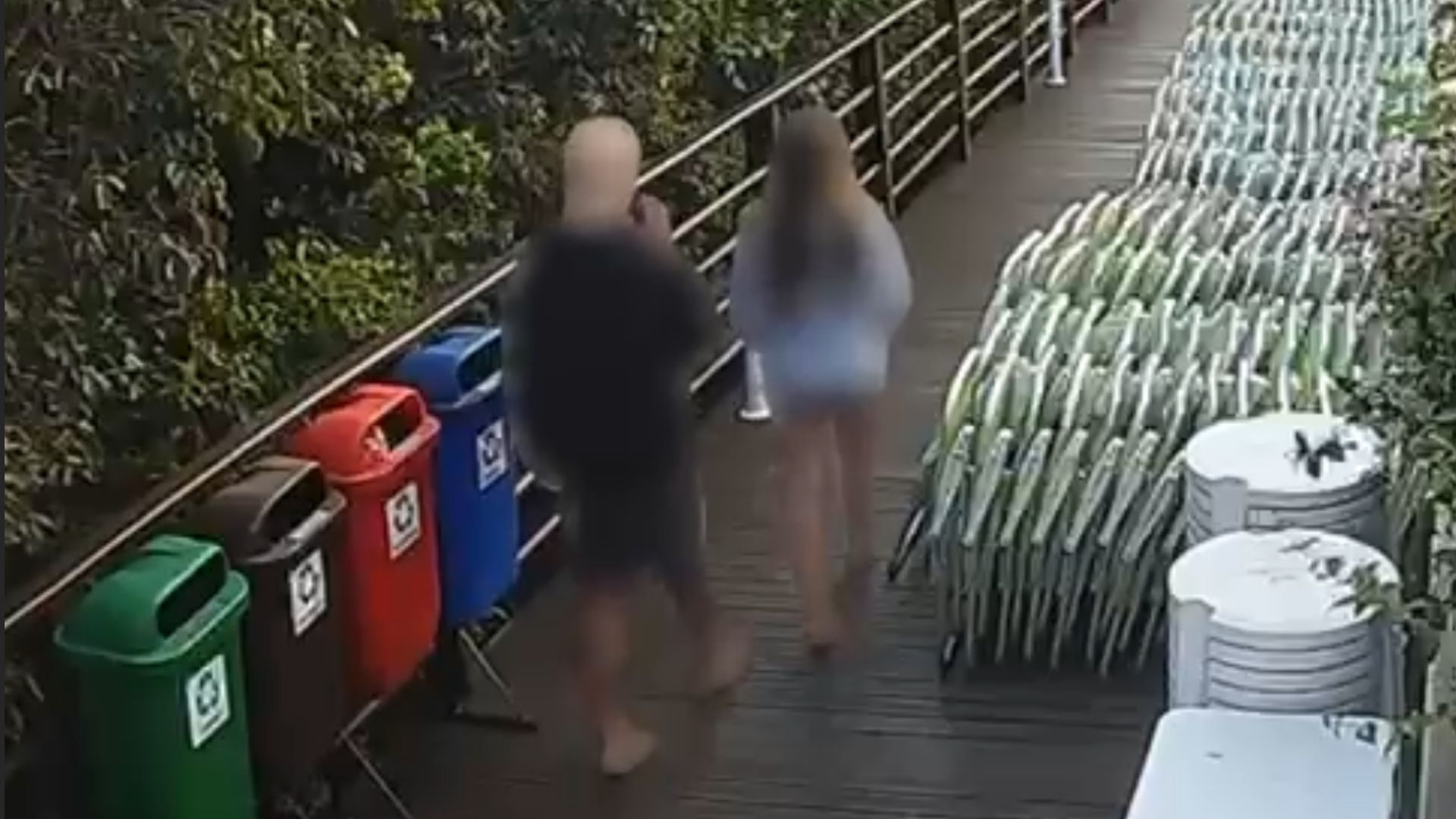 Cão Orelha veja vídeo que mostra adolescente retornando após agressões
