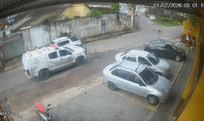 Vídeo: policiais são afastados após matarem dois cães atropelados em Manaus