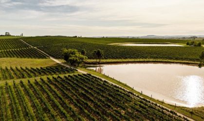 Com fartura de terras e de mão de obra, Encruzilhada do Sul quer ser a nova Serra Gaúcha