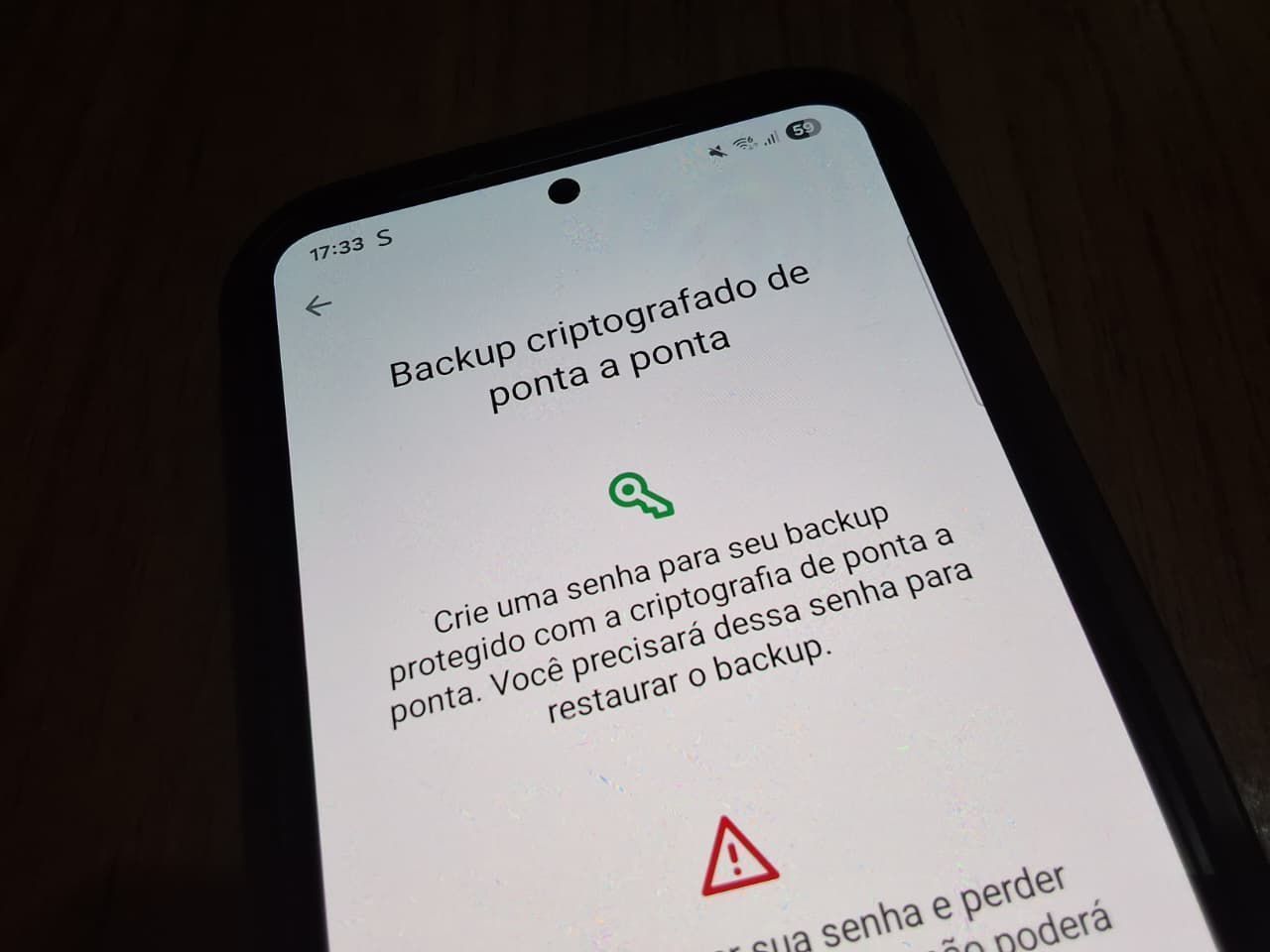 Criptografia é usada para proteger dados em aplicativos como o WhatsApp • Viviane França/Canaltech