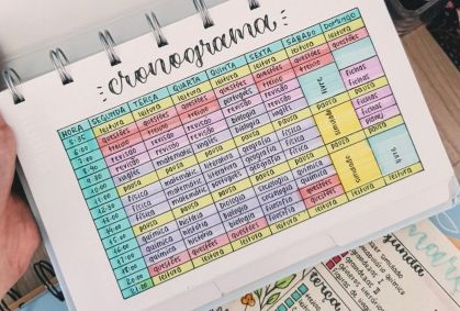 Vestibular 2026: veja cinco dicas para montar um plano de estudos