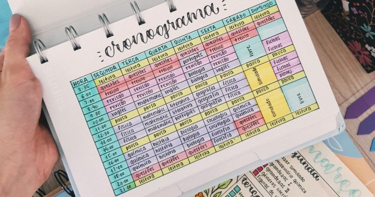 Vestibular 2026: veja cinco dicas para montar um plano de estudos