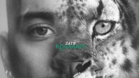 Zayn Malik anuncia novo álbum "KONNAKOL" e marca lançamento para abril
