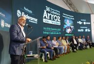 Em meio a baixa liquidez, arrozeiros buscam dedução fiscal no RS