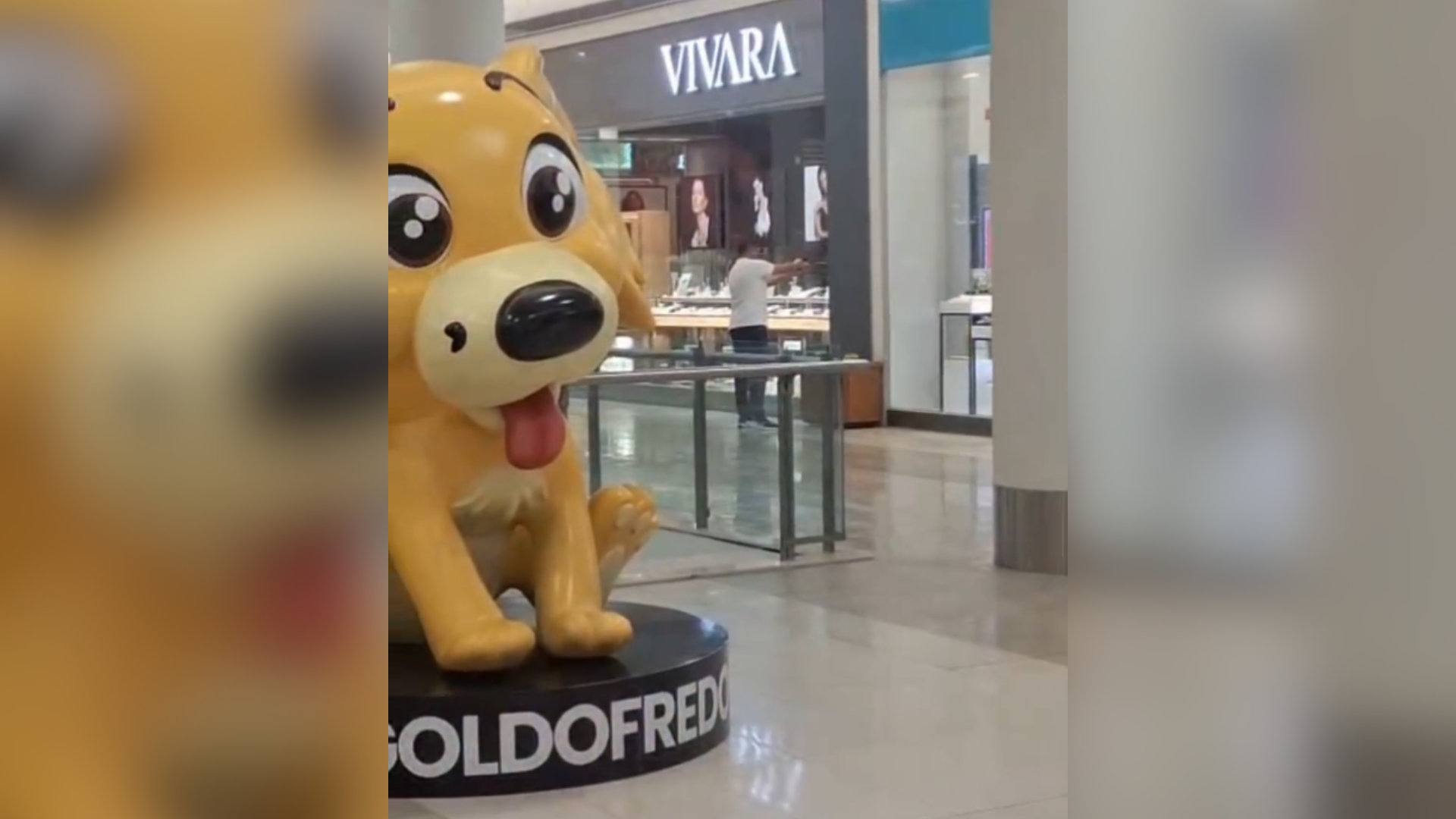 FEMINICÍDIO SHOPPING