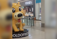 Feminicídio em shopping: descumprir medida protetiva pode agravar pena