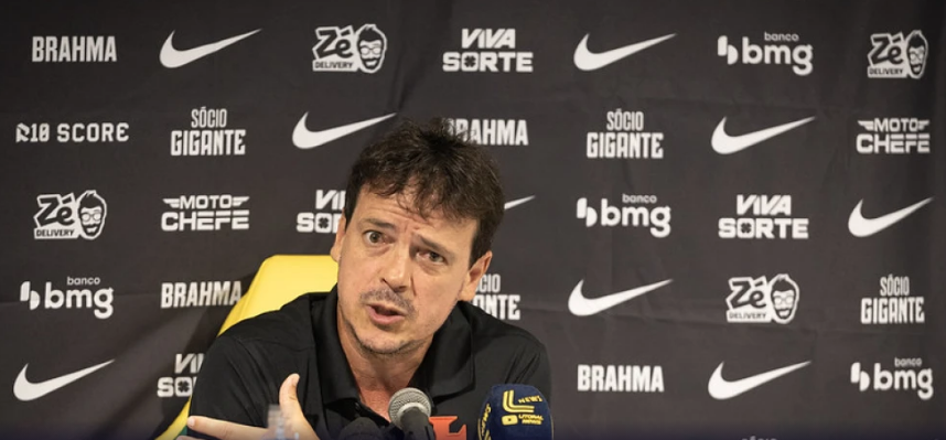 Fernando Diniz pediu reforços para o Vasco