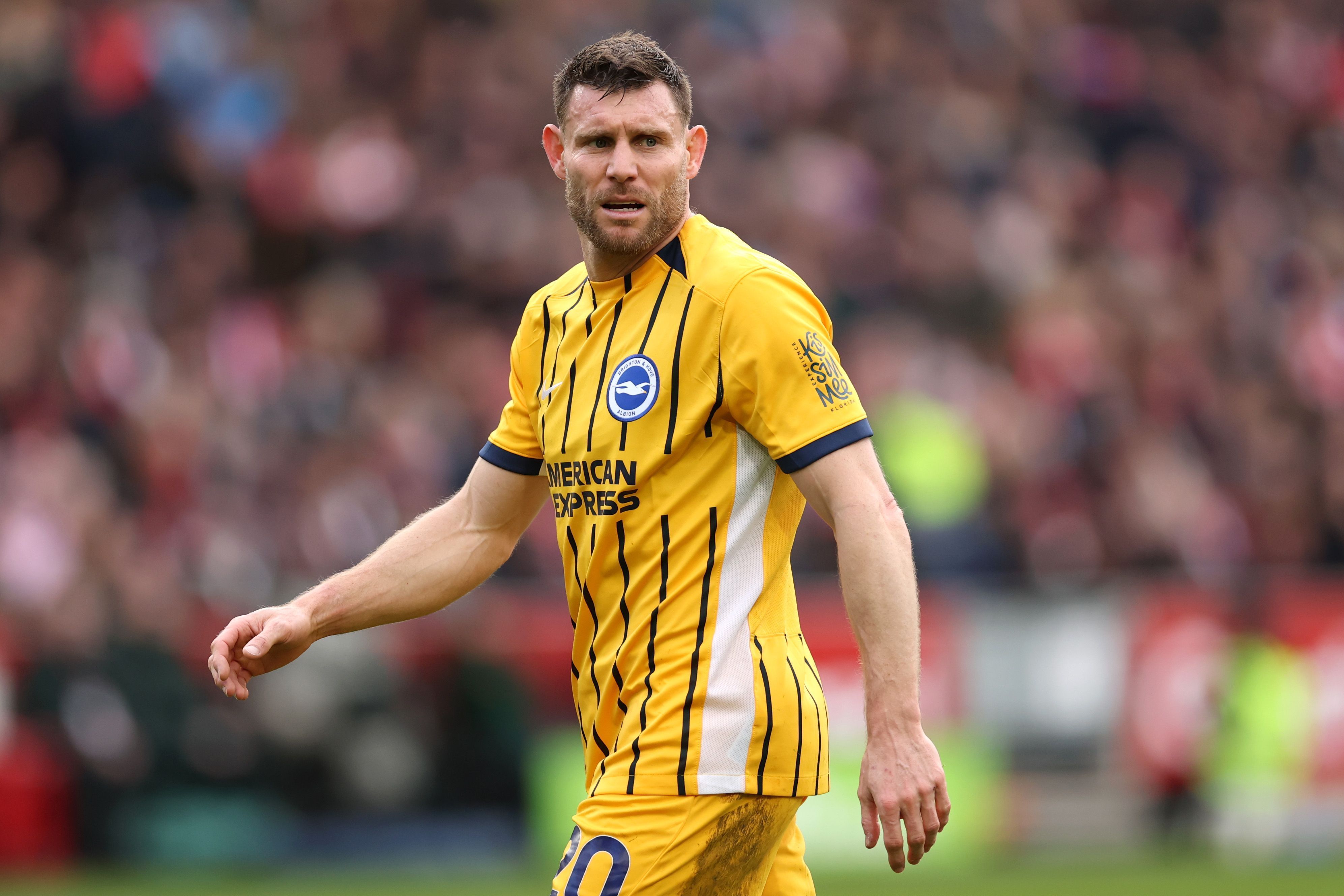 Brentford v Brighton &amp; Hove Albion - Premier League