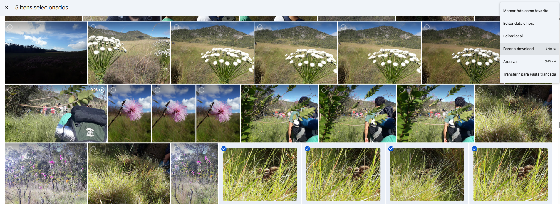 Clique em "Fazer o download" para baixar as fotos no seu PC. • Créditos: Reprodução/Google
