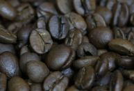 Café arábica sobe na bolsa de Nova York impulsionado por safra no Brasil