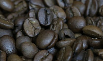 Grãos de Café - CNA
