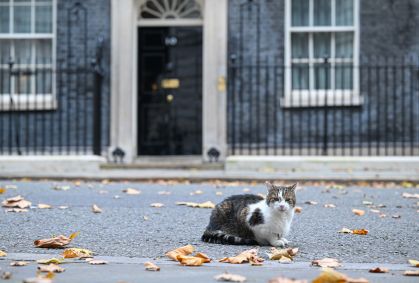 Gato Larry completa 15 anos no cargo de ''primeiro-felino'' do Reino Unido