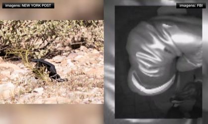 Polícia analisa luva encontrada perto da casa de Nancy Guthrie