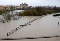 Agricultores da Espanha relatam danos de milhões de euros após tempestades
