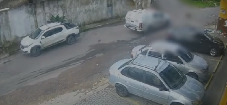 Viatura atropela cães