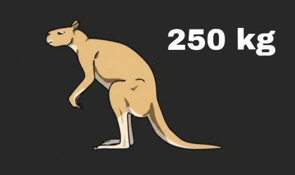 Mesmo com mais de 200 kg, gigantescos cangurus extintos podiam saltar