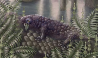 Fóssil canadense revela um dos primeiros animais herbívoros da Terra