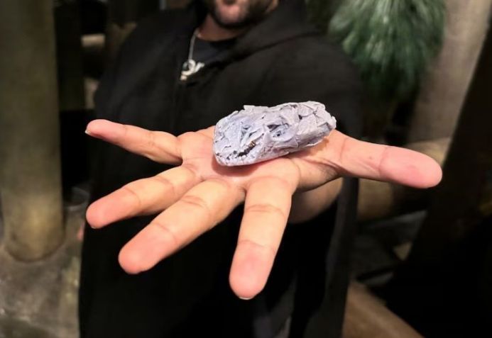 A criatura, chamada Tyrannoroter heberti, • Reprodução/Field Museum