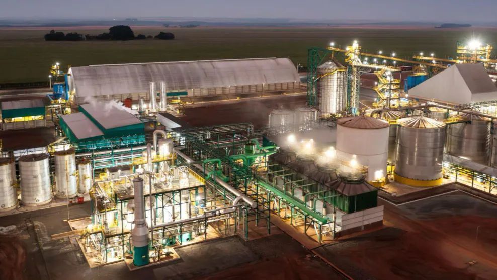 Lucro líquido da CerradinhoBio cresce 24,3% no 3º trimestre